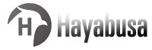 ホームページ製作CMS HAYABUSA