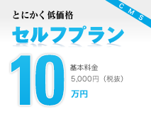 とにかく低価格 セルフプラン10万円