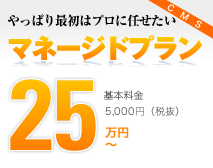 やっぱり最初はプロに任せたい マネージドプラン25万円